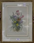 A floral watercolour by Elizabeth Rice