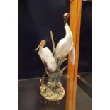 A Lladro figurine depicting a pair of 'Crane's'   Bull rush has been restored