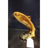 A Beswick figure of a leaping brown trout