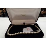 A string of cultured pearls with unmarked gold clasp,
