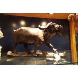 A carved wooden figure of an African water buffalo Ear tip has come off and been