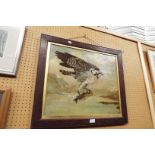 An early 20thC oil on panel of an osprey catching a salmon signed to lower right and framed
