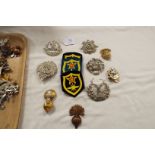 A large selection of military cap badges to include Tank Regiment, The Queen, Transport, Russian,