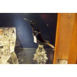 A large Murano style diving bird on heavy glass base slight ship to beak