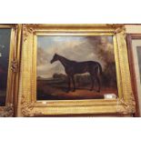 A large 19thC oil on canvas of a thoroughbred horse, signed 'S T Clark' to lower right,