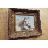 HAROLD WILLIAMS oil on board portrait of the racehorse Grey Sovereign, signed below,