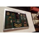 A framed set of military interest badges