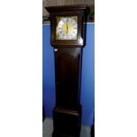 Western Germany chiming brass and steel face grandfather clock in oak case