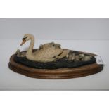 Border Fine Arts swan and cygnets by Ayres