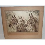 Mounted horse print entitled 'Fleet Limbed & Beautiful' by Ivor Symes published by Raphael Tuck