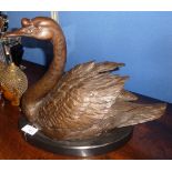 Large bronze figure of a swan on oval marble base