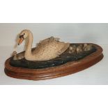 Border Fine Arts swan and cygnets by Ayres