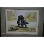 Framed and signed Christopher Marshall limited edition print no.