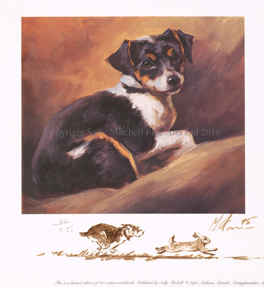 Mick Cawston Limited Edition Print, "Study of a Terrier", Remarqued by Mick, Number 46/500