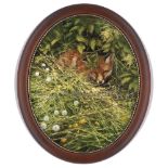 Mick Cawston Original Oil on Panel "Oval Fox" 19"x 15" Oval (Framed 22"x 18.5") Framed as Shown