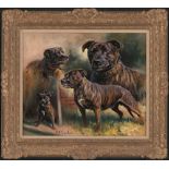 Mick Cawston Original Oil on Canvas "Staffordshire Bull Terrier Composite" Sold framed as shown