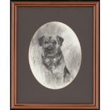 Mick Cawston Original Drawing Charcoal on Paper "Border Terrier" Framed as Shown Under Glass