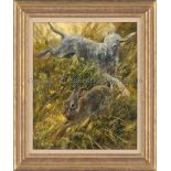 Mick Cawston Original Oil on Canvas "Rabbiting" Original of Open Edition Print. 18"x22" Framed.