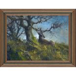 Mick Cawston Original Oil on Panel "Resting"Beautiful Painting of a reclining Red Deer Stag.