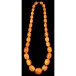 Property of a lady - a butterscotch amber graduated bead necklace, the 31 beads ranging from 15mm to