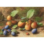 Property of a lady - Charles Henry Slater (c.1820-1890) - STILL LIFE OF APPLES AND PLUMS -