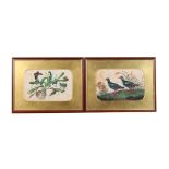 Property of a deceased estate - two 19th century Chinese pith paper paintings, one depicting two