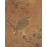 A late 19th century painting on silk depicting a hawk on a branch, with calligraphy & red seal,