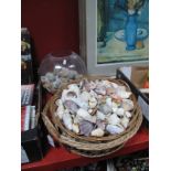 A Large Quantity of Old Seaside Shells, some in two wicker baskets, the others in a glass bowl.