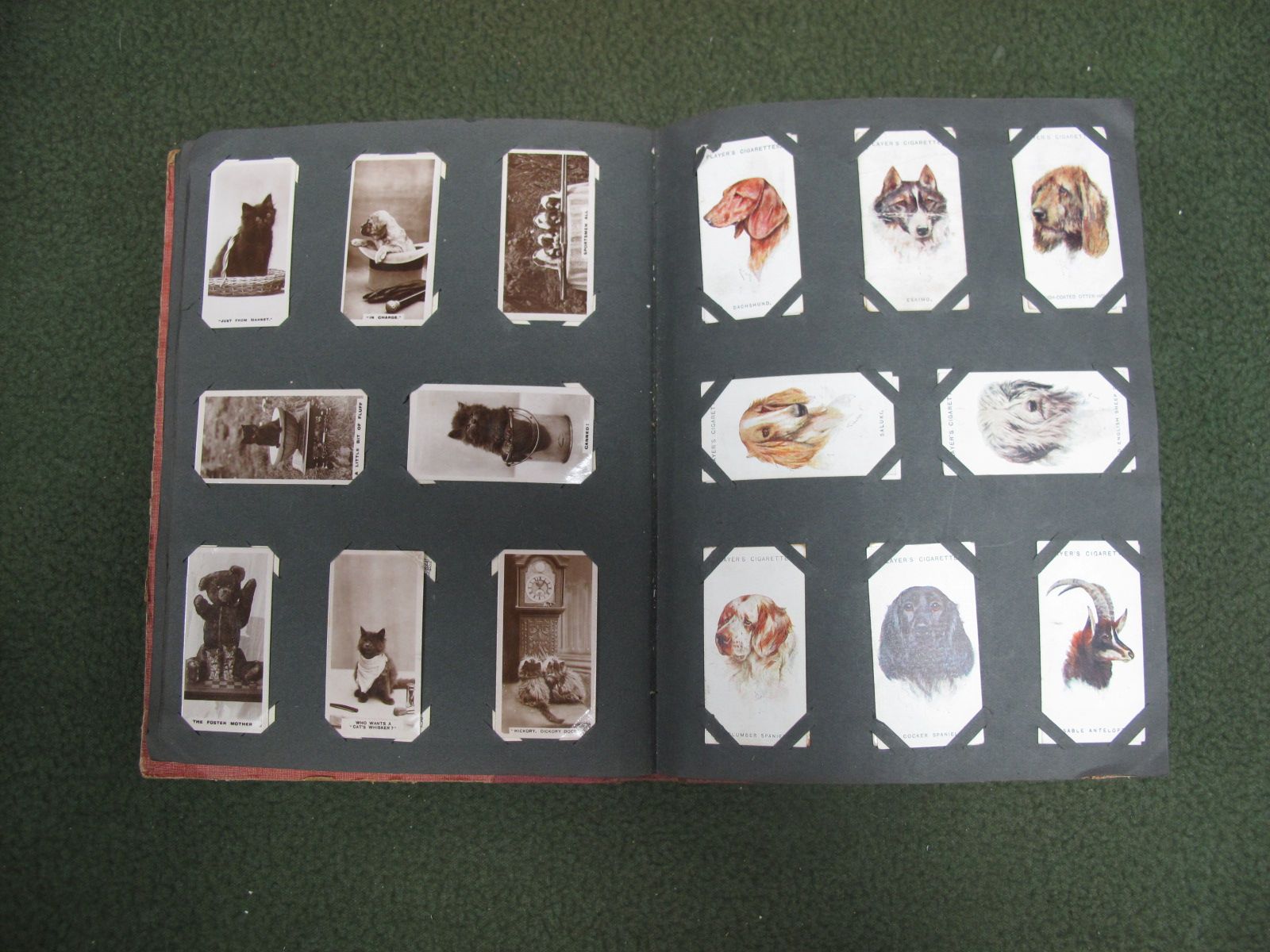 A Collection of Cigarette Cards in a Contemporary Album. Much of interest here including football