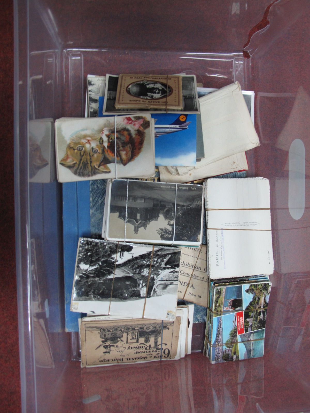 A Miscellaneous Assortment of Postcards, including animal interest and overseas cards.