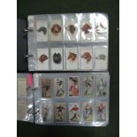 Two Neat Well Filled Cigarette Card Albums, almost wholly complete sets of Players cards including