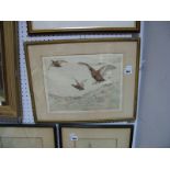 G. Vernon Stokes Limited Edition Etching 52 or 75 "Game Birds in Flight", 24 x 32cms.