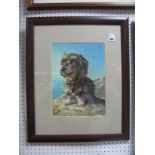 Alan Hyde - 'Tom Miniature Wire Haired Dachshund' mixed media, monogrammed lower right 33 x 24cms.