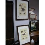 After J. Rivet a Pair of French Horse Carriage Racing Montage Prints, 34.5 x 25cms.