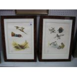 After B. Rial Pair of French Game Bird Montage Prints, 32 x 24.5cms.