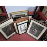 A Quantity of Framed Engraving Prints, colour prints, pencil study, including "Fig Tree Case", "