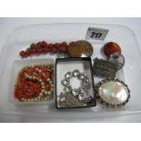 Polished Hardstone Brooches, circlet pendant on chain, shell brooch, XIX Century panel brooch "