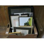 A Quantity of Prints, Maps, Cockerel Watercolours etc:- One Box