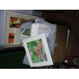 Quantity of Framed Insect Cards.