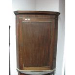 A XIX Century Mahogany Flat Fronted Corner Cupboard, having three shaped inner shelves.