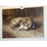 Herbert Dicksee (1862-1924)
'Puppy'
Engraving, signed in pencil lower left,