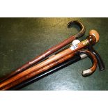 Six various walking sticks to include three with silver collars,