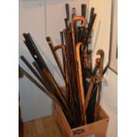 A large quantity of hickory shafted and later golf clubs,