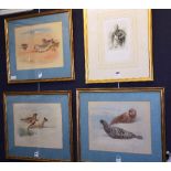 Archibald Thorburn 'Seals' Three prints, 30 x 24cm,