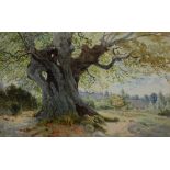James McCulloch RSW (fl.1874-1880) 'Gnarled Tree' Watercolour, 22 x 34.