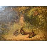 George Armfield (1810-1893) 'Pheasants in Woodland' Oil on canvas, signed with monogram lower right,