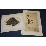 Leon Danching 'Cocker Spaniel with Woodcock' & 'Ducks Landing' Two limited edition coloured