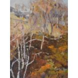 Perpetua Pope (Scottish 1916-2013) ARR 'Autumn Trees' Oil on board, signed lower right,