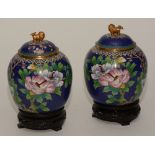 A pair of 20th century Chinese brass cloisonne oviform vases with covers,
