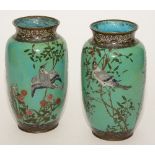 A pair of Chinese cloisonne vases, decorated with birds in foliage on blue ground,